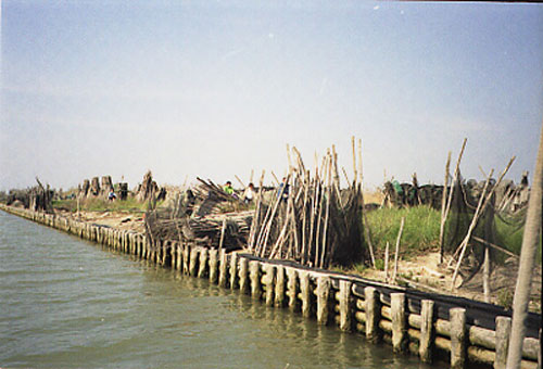 Delta del Po di Ferrara